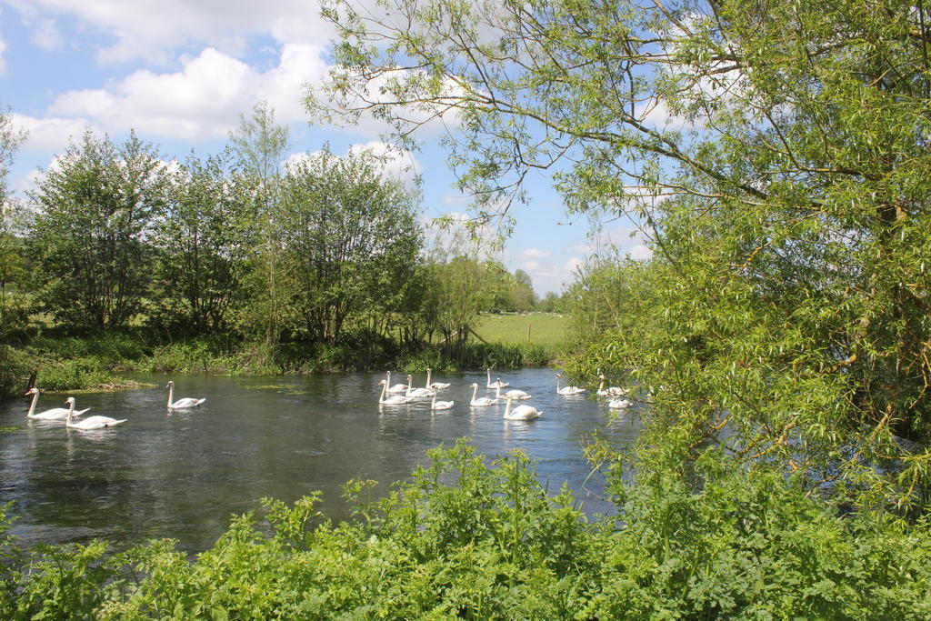 The Swan At Stoford Hotel Stapleford  Eksteriør billede