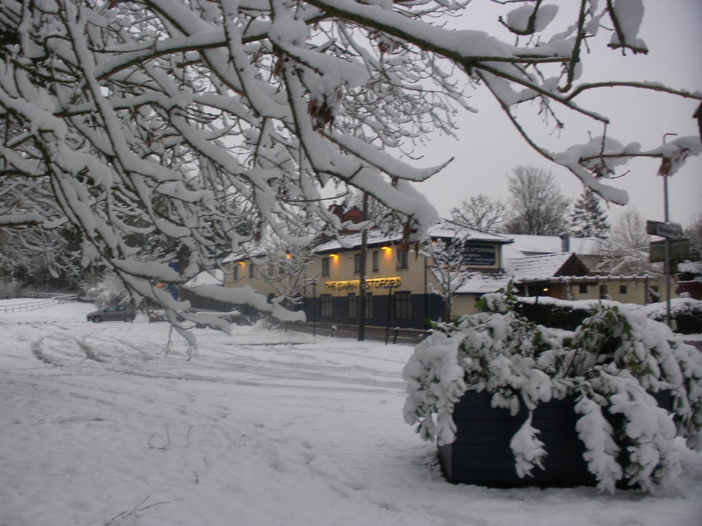 The Swan At Stoford Hotel Stapleford  Eksteriør billede